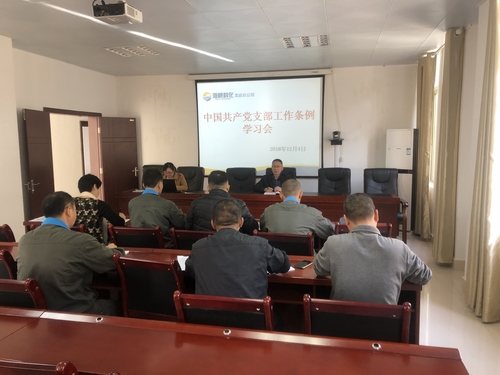 謝顏果：龍巖分公司組織開展《中國共產黨支部工作條例》學習會.jpg