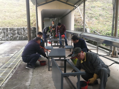 施武星：龍巖分公司乳化一車間支部組織黨員給車間鐵質(zhì)平臺、踏板刷漆.jpg
