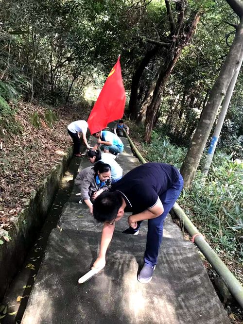 陳宏金：不忘初心 牢記使命，永春分公司組織機(jī)關(guān)黨員清理上下班臺(tái)階的青苔1.jpg