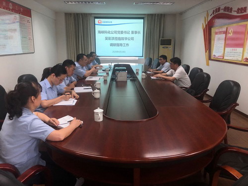 永安雙華公司吳泉艷：吳彩洪董事長到雙華公司調研指導工作_調整大小.jpg