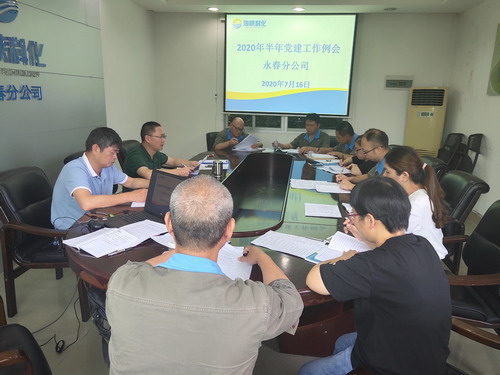 永春分公司召開(kāi)2020年半年黨建工作例會(huì)_調(diào)整大小.jpg