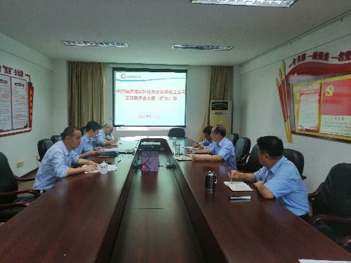 永安雙華公司鄧焱珍：永安雙華公司黨支部專題部署意識(shí)形態(tài)工作~1.jpg