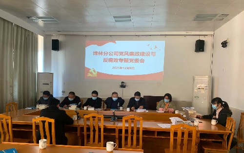 烽林林美玲：黨風(fēng)廉政建設(shè)專題黨委會(huì)~1.jpg