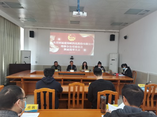 格式工廠烽林連珂瑩：海峽科化烽林分公司團(tuán)委換屆選舉大會勝利召開（會議現(xiàn)場）.jpg
