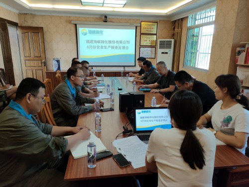 格式工廠烽林鄧秋花：海峽科化公司黨委書記、董事長吳彩洪帶隊到烽林分公司開展安全生產(chǎn)檢�?.jpg