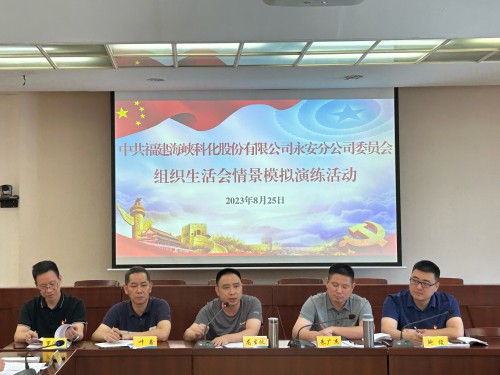 格式工廠永安分公司鮑玉婷：海峽科化永安分公司黨委“實(shí)戰(zhàn)演練”推動(dòng)組織生活會(huì)嚴(yán)起來、活起來、實(shí)起來 (2).jpg
