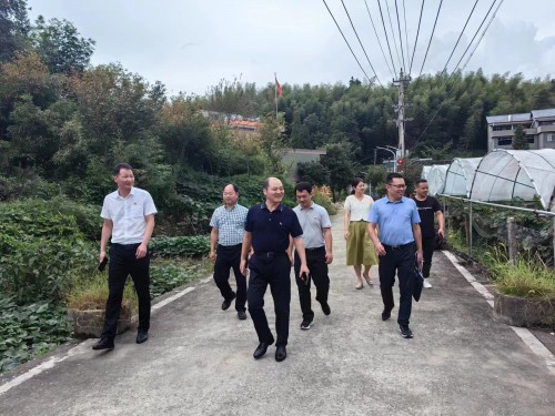 格式工廠福安黃曉志：圖為省機電控股公司黨委委員、副總經(jīng)理吳大文到福安市仙嶺村開展鄉(xiāng)村振興工作調(diào)�?(2).jpg