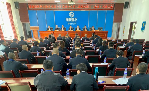 格式工廠1.龍巖分公司+吳瑤+攜手奮進(jìn)新征程，共繪發(fā)展新藍(lán)圖--海峽科化龍巖分公司召開二屆四次職工（會員）代表大會.jpg